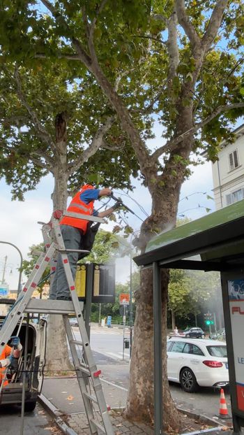 manutenzione fermate 2