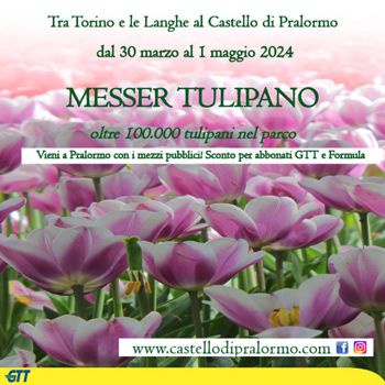 messer tulipano 2024